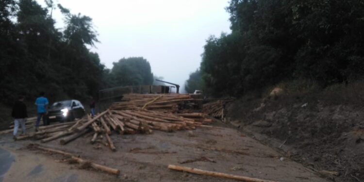 Carreta carregada de eucalipto tomba e interdita BR-101 na altura de Conceição da Barra