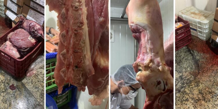 Procon e Vigilância Sanitária interditam mais um açougue em Barra de São Francisco com 105 kg de carne estragada