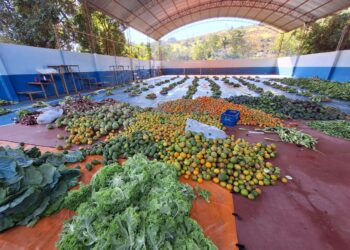 Prefeitura de Barra de São Francisco publica edital para compra de alimentos da agricultura familiar pelo PAA