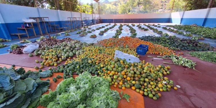 Prefeitura de Barra de São Francisco publica edital para compra de alimentos da agricultura familiar pelo PAA Prefeitura de Barra de São Francisco publica edital para compra de alimentos da agricultura familiar pelo PAA
