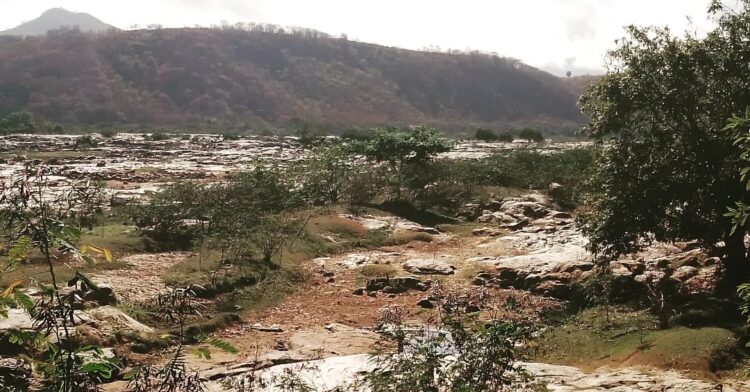 Médio Rio Doce vive duas situações muito diferentes na divisa entre MG e ES