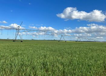 Irrigação impulsiona a expansão do agronegócio no Norte do Estado; saiba seus principais desafios