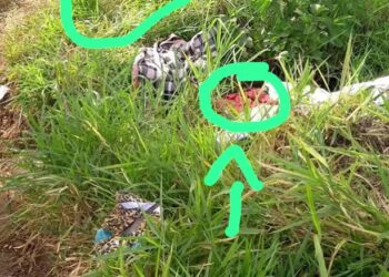 Sooretama: é trote que foram encontrados dois corpos próximo a Lagoa Nova