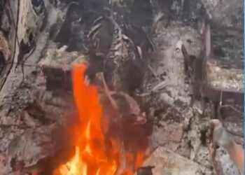 Corpo carbonizado dentro de carro em Jaguaré é de servidora da saúde