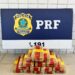 PRF prende homem com 15 kg de pasta base de cocaína em ônibus que vinha de BH para Vitória