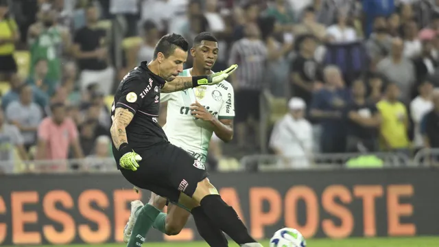 Com grande atuação de Fábio, Flu vence o Palmeiras e entra no G-4 do Brasileirão Com grande atuação de Fábio, Flu vence o Palmeiras e entra no G-4 do Brasileirão