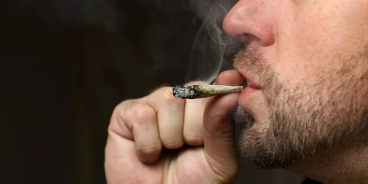 Exemplo de Portugal pode inspirar a liberação da maconha no Brasil Exemplo de Portugal pode inspirar a liberação da maconha no Brasil