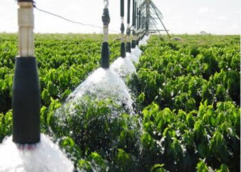 ES tem potencial para aumentar 2,5 vezes a sua área de agricultura irrigada, diz pesquisador