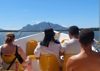 Vamos viajar descendo dos morros para conhecer o maior manguezal urbano do Brasil