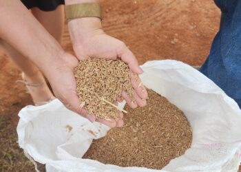 Feira do agro começa  em Pinheiros com perspectivas de R$ 30 milhões em negócios