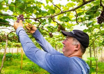 Linhares: das praias e lagoas até as montanhas frias de São Rafael, pura beleza
