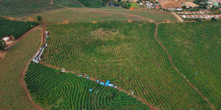 Frente Parlamentar debate benefícios da irrigação para setor cafeeiro em Mantenópolis Frente Parlamentar debate benefícios da irrigação para setor cafeeiro em Mantenópolis