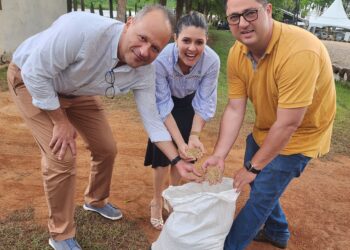 Soja, “rainha  da agricultura”, chega ao ES 140 anos depois de desembarcar no Brasil, mostra jornalista