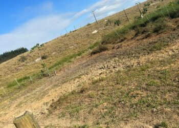 Seca deixa sem água 5 mil moradores de São João do Sobrado, distrito de Pinheiros