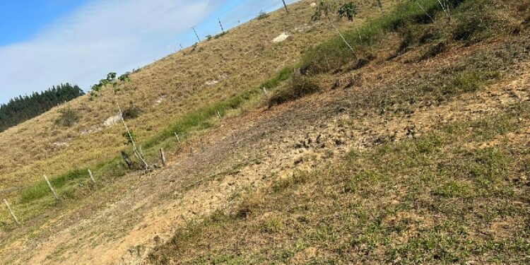 Seca deixa sem água 5 mil moradores de São João do Sobrado, distrito de Pinheiros