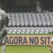 Botafogo empata mais uma e deixa o Palmeiras com as mãos no título