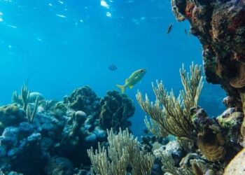 Guarapari, 2ª edição: mergulhe nos mares azul e verde da Cidade Saúde