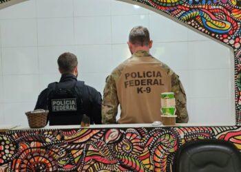 LSD pelos Correios: PF faz operação e prende traficante da droga no ES