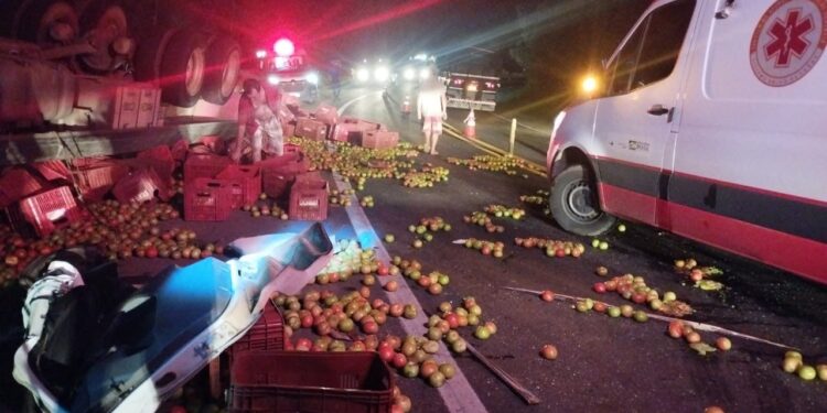 Caminhão carregado de tomate tomba na BR-101 em Itapemirim e carga fica espalhada na pista Caminhão carregado de tomate tomba na BR-101 em Itapemirim e carga fica espalhada na pista