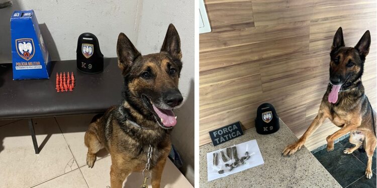 PM apreende crack e maconha nos bairros Bonfim e Padre Gianni, em Nova Venécia PM apreende crack e maconha nos bairros Bonfim e Padre Gianni, em Nova Venécia