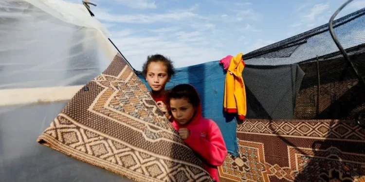 População de Gaza está desesperada  por comida, diz diretor da ONU