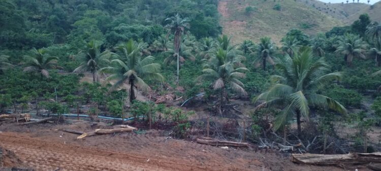 Chuvas intensas na cabeceira do rio Itaúnas aliviam a crise hídrica em Barra de São Francisco