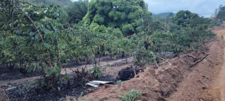 Chuvas intensas na cabeceira do rio Itaúnas aliviam a crise hídrica em Barra de São Francisco