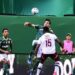 Brasileirão: só um ‘milagre’ tira o bicampeonato do Palmeiras