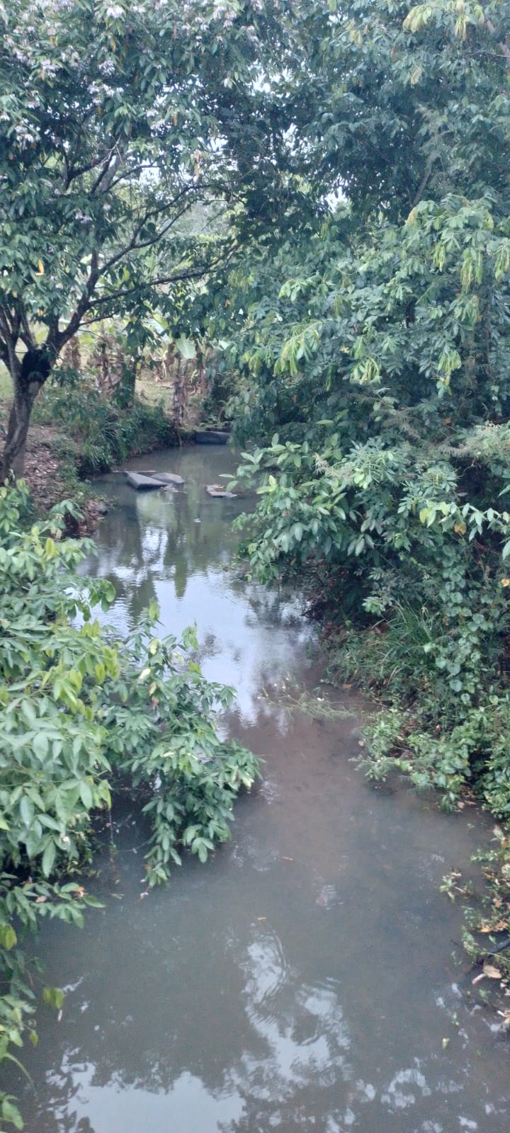 Chuvas intensas na cabeceira do rio Itaúnas aliviam a crise hídrica em Barra de São Francisco