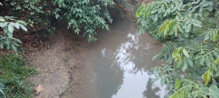 Chuvas intensas na cabeceira do rio Itaúnas aliviam a crise hídrica em Barra de São Francisco