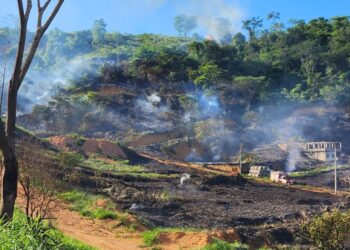 Incêndio florestal queima cerca 50 mil metros quadrados de vegetação no Irmãos Fernandes