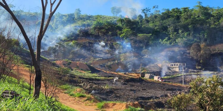 Incêndio florestal queima cerca 50 mil metros quadrados de vegetação no Irmãos Fernandes Incêndio florestal queima cerca 50 mil metros quadrados de vegetação no Irmãos Fernandes