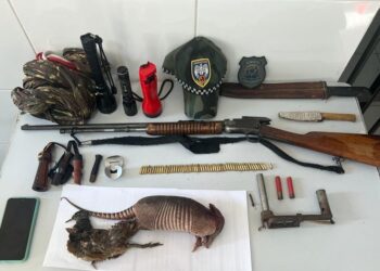 Homem é detido em Sooretama com arma de fogo, munições e animais abatidos