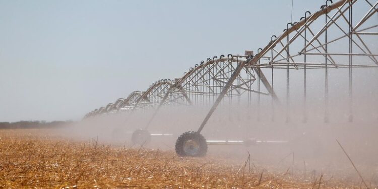 Saiba como receber incentivos do polo de agricultura irrigada do Norte do Espírito Santo