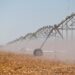 Saiba como receber incentivos do polo de agricultura irrigada do Norte do Espírito Santo