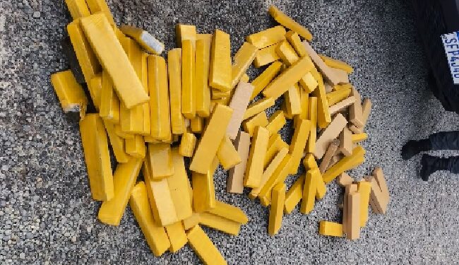 Polícia Militar apreende cerca de 80 kg de maconha no bairro Nova  Esperança em Linhares