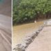 Chove 45mm em Cachoeirinha do Itaúnas e estradas ficam prejudicadas; veja vídeo Chove 45mm em Cachoeirinha do Itaúnas e estradas ficam prejudicadas; veja vídeo