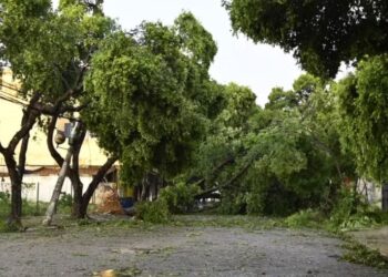 Governador Valadares: energia elétrica retorna depois de 24 horas, reclamam moradores