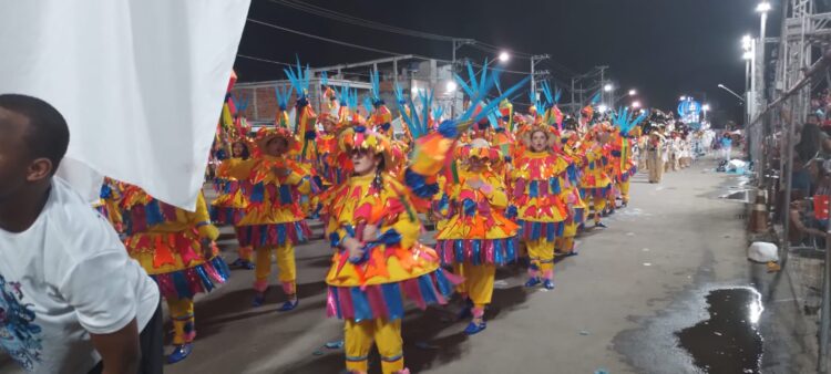 Explosão de alegria e cores da Novo Império leva Barra de São Francisco a ser conhecida no mundo inteiro