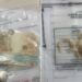 PM prende mulher com crack e dinheiro no bairro Colina PM prende mulher com crack e dinheiro no bairro Colina