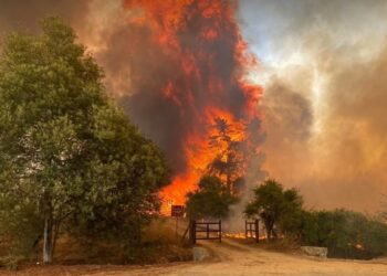 Sobe para 112 o número de mortos em incêndios florestais no Chile