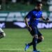 Olha a zebra: Souza elimina o Cruzeiro, maior Campeão da Copa do Brasil Olha a zebra: Souza elimina o Cruzeiro, maior Campeão da Copa do Brasil