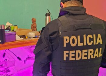 Exposição em shopping marca comemoração dos 80 anos da Policia Federal