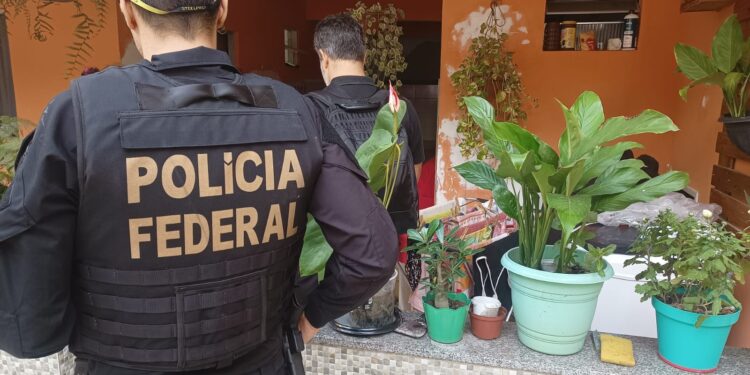 Federal investiga rapaz de 19 anos por prática de pornografia infantil pela internet