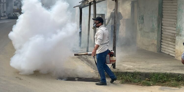 Mutirão de combate aos focos do mosquito transmissor da dengue recolhe toneladas de entulho no Campo Novo Mutirão de combate aos focos do mosquito transmissor da dengue recolhe toneladas de entulho no Campo Novo
