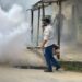 Mutirão de combate aos focos do mosquito transmissor da dengue recolhe toneladas de entulho no Campo Novo Mutirão de combate aos focos do mosquito transmissor da dengue recolhe toneladas de entulho no Campo Novo