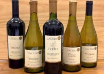 Casal capixaba produz vinhos premiados no Sul do País