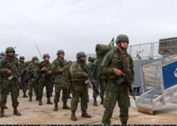 Em quase 6 meses, GLO em portos e aeroportos prendeu 2.841 pessoas e apreendeu 274 armas, 144 toneladas de drogas