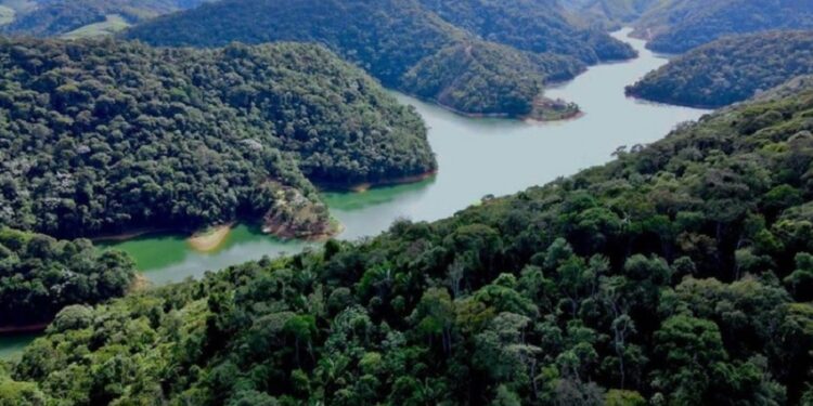 Cai 30,6% o desmatamento no Espírito Santo; Estado é líder nacional em proteção florestal