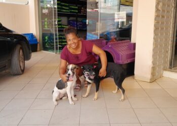 Programa Pet Vida ultrapassa cem animais cadastrados em Barra de São Francisco